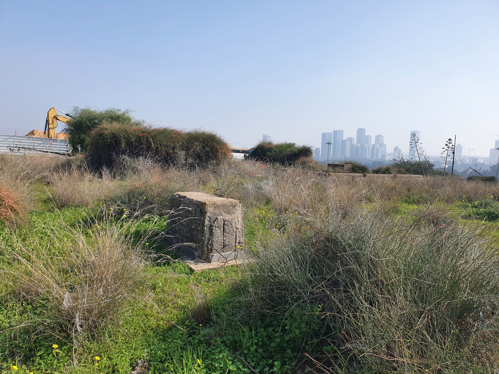 WhatsApp Image 2023-01-25 at 2.14.04 PM (1).jpeg